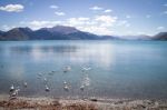 Lake Wakatipu Stock Photo