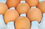 Fresh Organic Brown Eggs Stock Photo