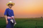 Farmer With Rice Fields Stock Photo