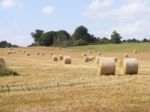 English Summer Stock Photo