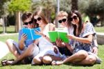 Young Couples Relaxing In Park And Reading Books Stock Photo