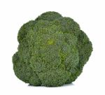 Broccoli Isolated On The White Background Stock Photo