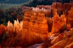 Bryce Canyon Sculpted By Nature Stock Photo