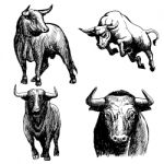 Set Of Bull Doodle Hand Drawn Stock Photo