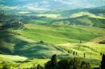 Val D'orcia, Tuscany/italy - May 16 : Countryside Of Val D'orcia Stock Photo