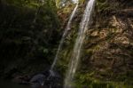 Twin Falls Waterfall Located In Springbrook National Park Stock Photo