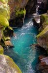 Avalanche Creek Stock Photo