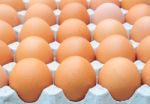 Fresh Organic Brown Eggs Stock Photo