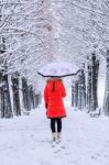 Girl With Umbrella Walking On The Path And Row Trees. Winter Stock Photo