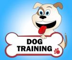 Dog Training Represents Pups Purebred And Teach Stock Photo