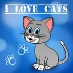 Love Cats Shows Pet Loved And Heart Stock Photo