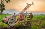 Landscape Of Corn Stock Photo