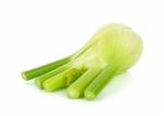 Fresh Fennel Isolated Stock Photo