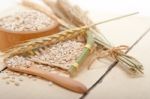 Organic Barley Grains Stock Photo