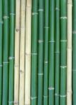 Bamboo Stock Photo