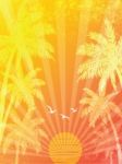 Summer Background Stock Photo