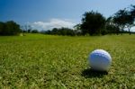 A Golf Ball Stock Photo