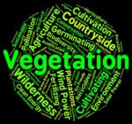 Vegetation Word Indicates Plant Life And Botany Stock Photo