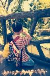 Back View. Happy Family. Sibling Photographing Outdoors On Summer Day Stock Photo