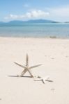 Starfish Standing On The Beach Stock Photo