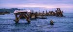 Sunk Shipwrecks At Tangalooma Island In Moreton Bay Stock Photo