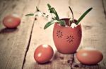 Bunch Of Snowdrop Flowers And Eggs Stock Photo