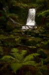 Horseshoe Falls In Mount Field National Park Stock Photo