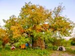 Camp Ground In Botswana Stock Photo