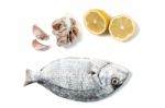 Gilt-head Bream Fish Stock Photo