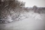 Snow And Frost On Trees Over River. Overcast Snowy Weather Stock Photo