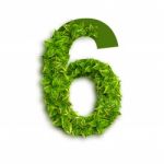 Alphabet Number 6 With Leaves Stock Photo