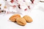 Almond Tree Branch And Almonds Stock Photo