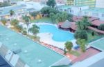 Palm And Swimming Pool Top View Stock Photo