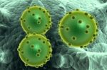 Green Bacterial Intruder Cells Causing Sickness Stock Photo