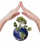 Eco Concept - Earth In Hands Stock Photo