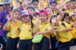 Primary Students Visit The Zoo, In The Jul 27, 2016. Bangkok Thailand Stock Photo