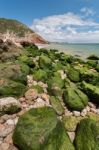 Isolated Beach Stock Photo