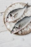 Dorado Fish And Sea Bass On The Metal Plate With Ice Stock Photo