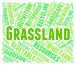 Grassland Word Represents Environment Grassy And Prairie Stock Photo