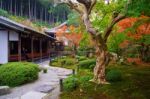 Woman In Enkoji Temple To Enjoy Autumn Garden Stock Photo