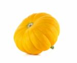 Pumpkin Isolated On The White Background Stock Photo