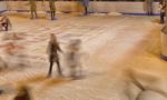 Girls Skating On The Ice Rink Stock Photo