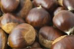 Chestnuts Stock Photo