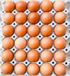 Eggs Carton,eggs In A Box Stock Photo