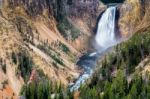 Lower Yellowstone Falls Stock Photo