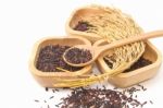 Thai Black Jasmine Rice (rice Berry) In Wooden Bowl Stock Photo