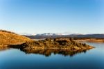 Autumn In Patagonia. Tierra Del Fuego, Beagle Channel And Chilea Stock Photo