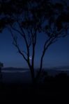 Trees In The Countryside In Queensland Stock Photo