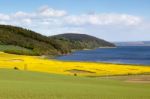 Arable Farming Field Near Munlochy Bay Stock Photo