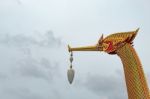 Golden Swan Boats At Nonthaburi In Thailand Stock Photo